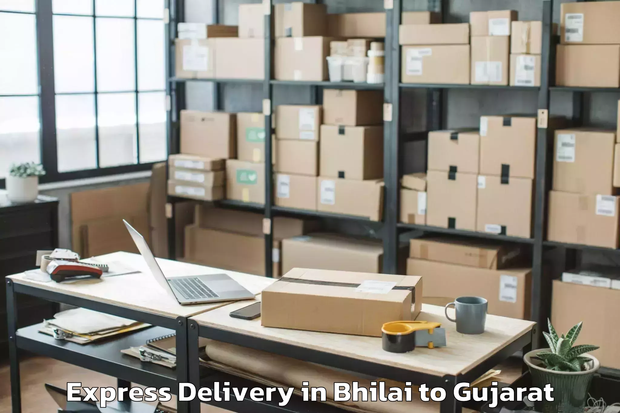 Professional Bhilai to Vadgam Express Delivery